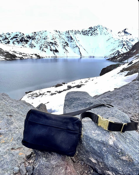 waxed canvas concert bag