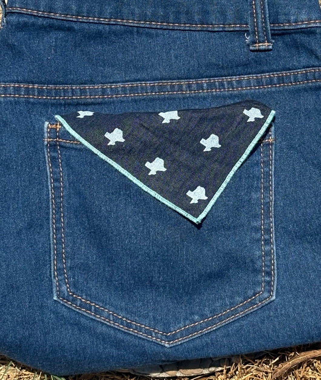 TX print bandanas on chambray