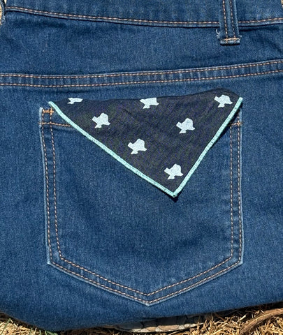 texas print bandana - chambray
