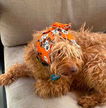 block print available in a bandana or headband